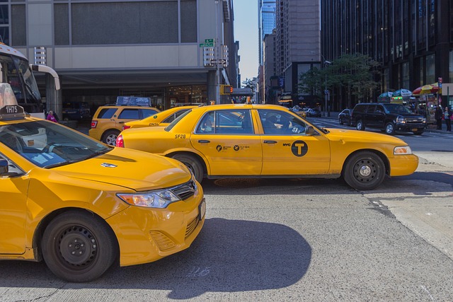 licencia de taxis