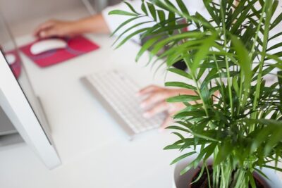 Cómo solicitar la visa de residencia para emprendedores en Chile