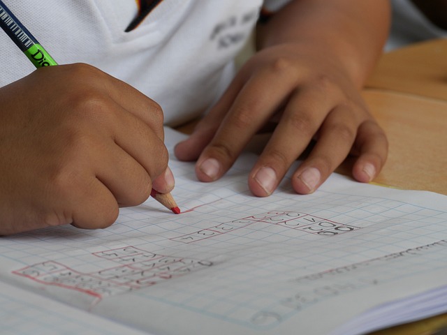 Guía para la inscripción en colegios chilenos