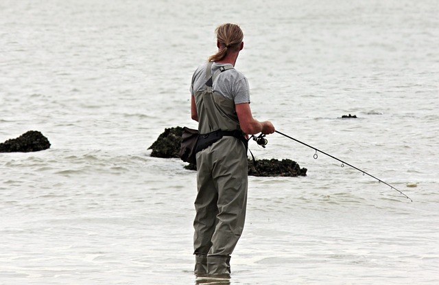 Guía para la obtención de la licencia de pesca en Chile